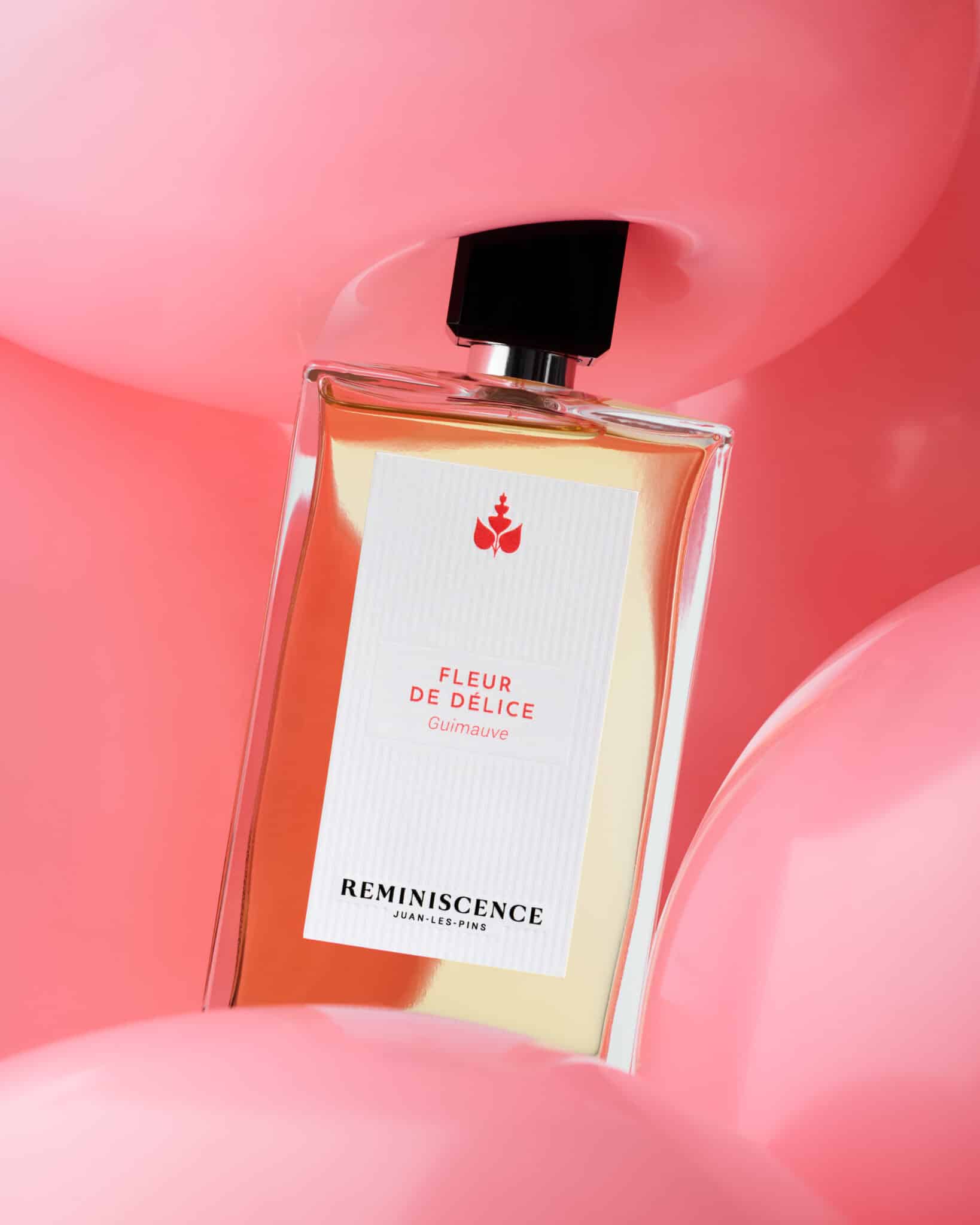 Fleur de Delice - Reminiscence