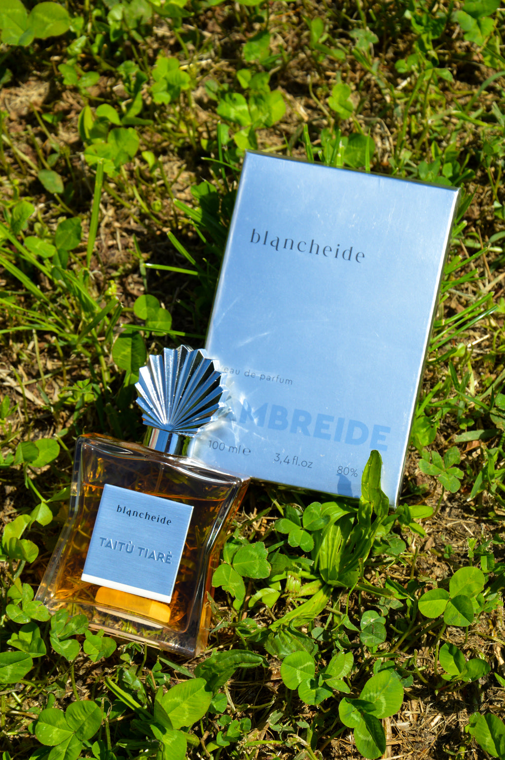 AMBREIDE - Blancheide