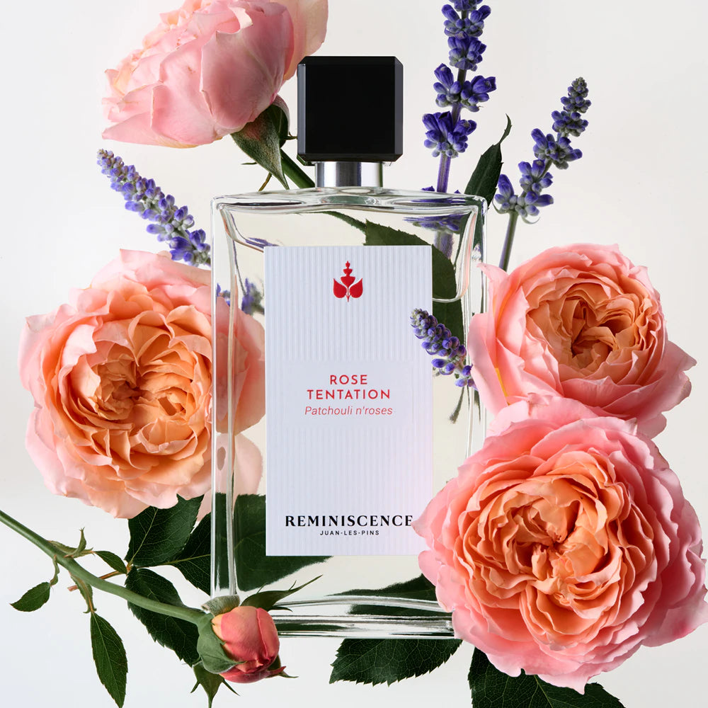 Rose Tentation - Reminiscence