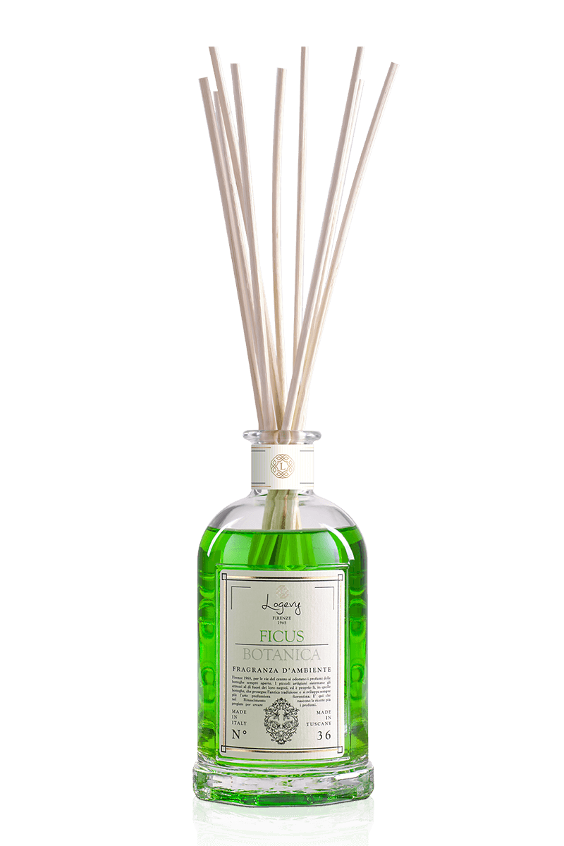 Ficus Botanica Diffusore bacchette - Logevy Firenze 1965