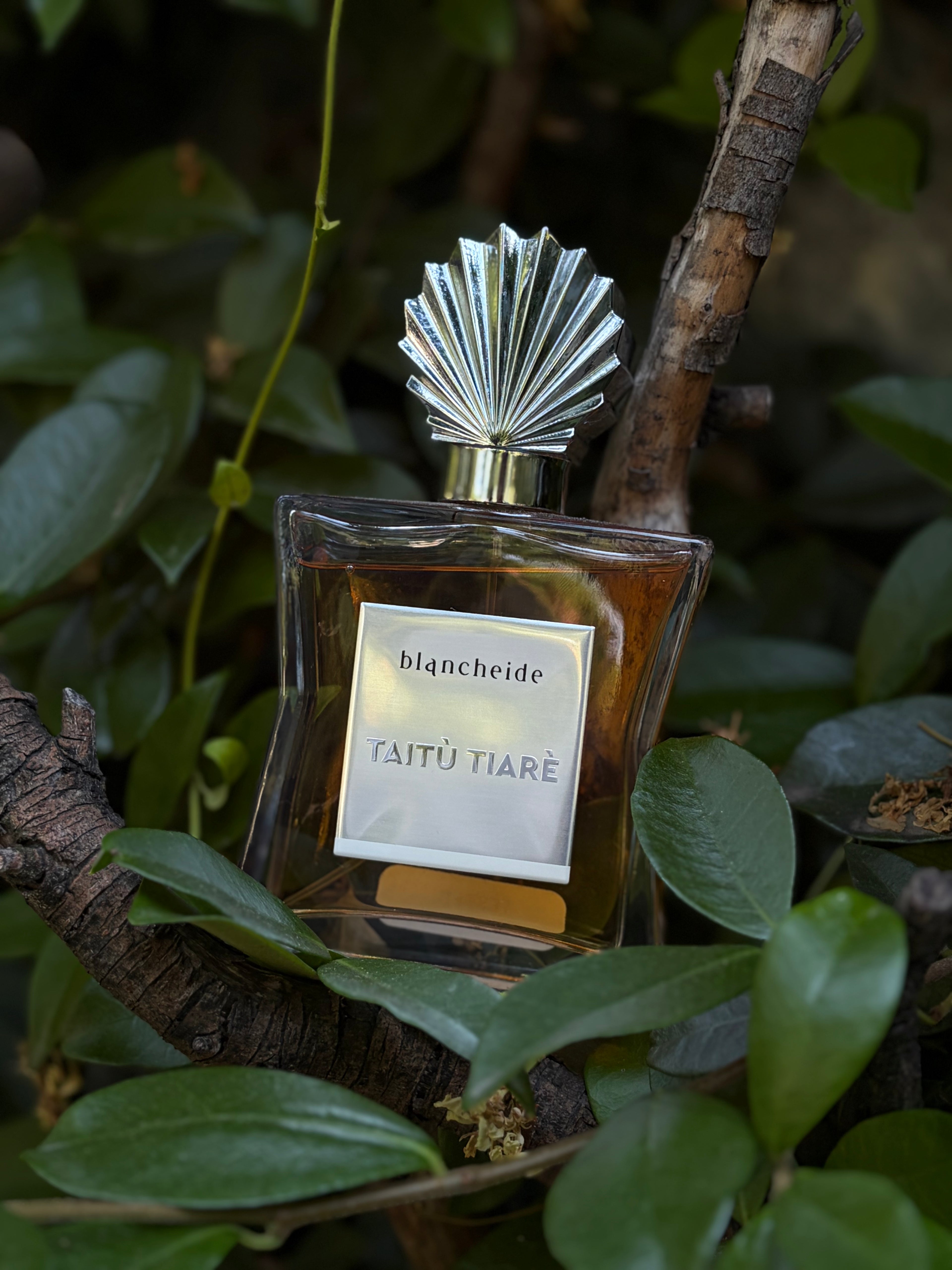 TAITÙ TIARÈ - Blancheide