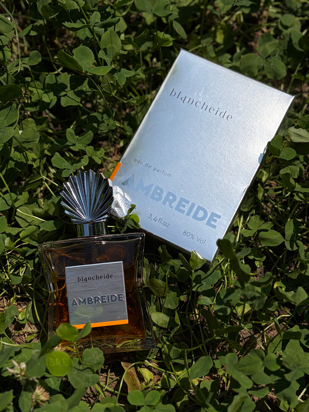 AMBREIDE - Blancheide