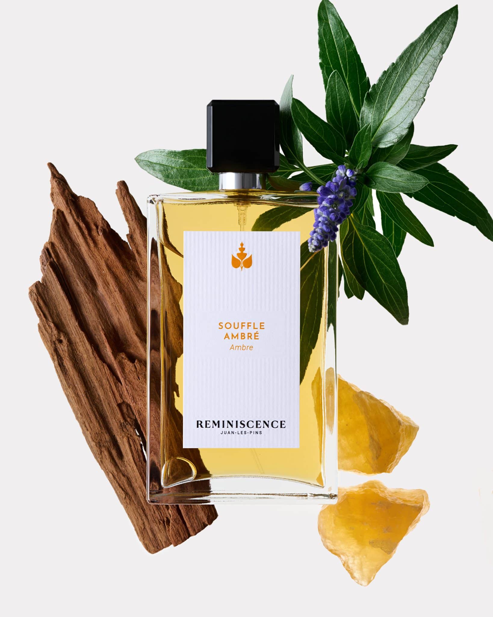 Souffle Ambre - Reminiscence