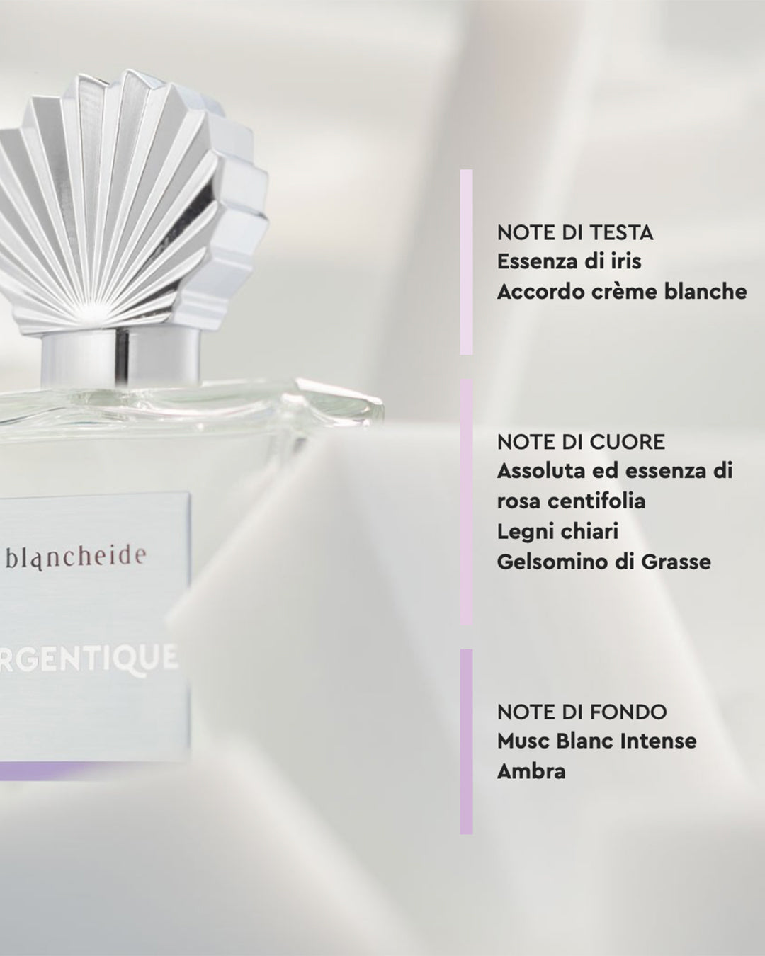 ARGENTIQUE - Blancheide
