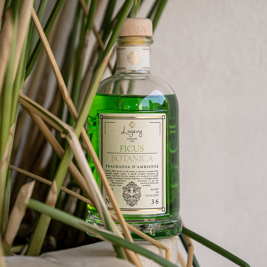 Ficus Botanica Diffusore bacchette - Logevy Firenze 1965
