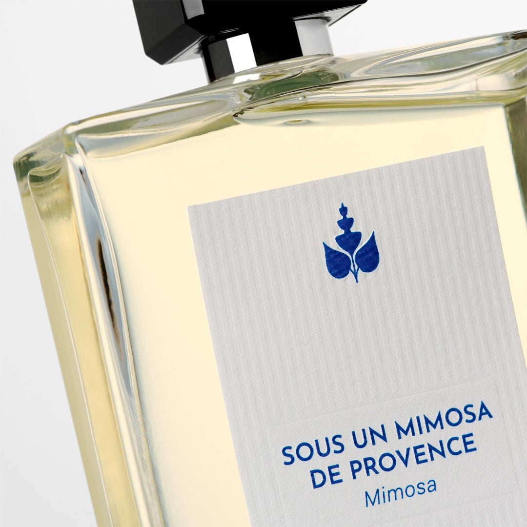 Sous un Mimosa de Provence - Reminiscence