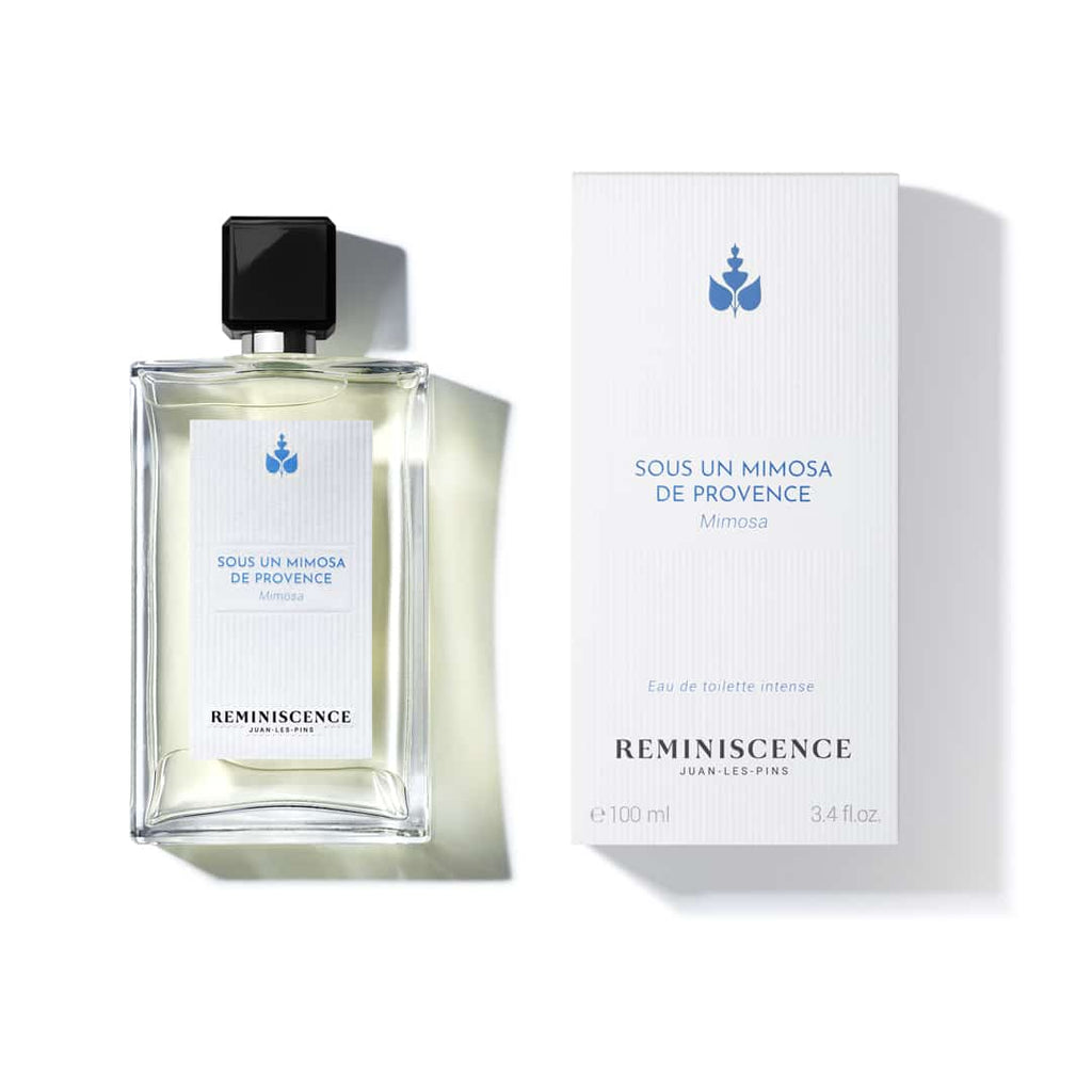 Sous un Mimosa de Provence - Reminiscence
