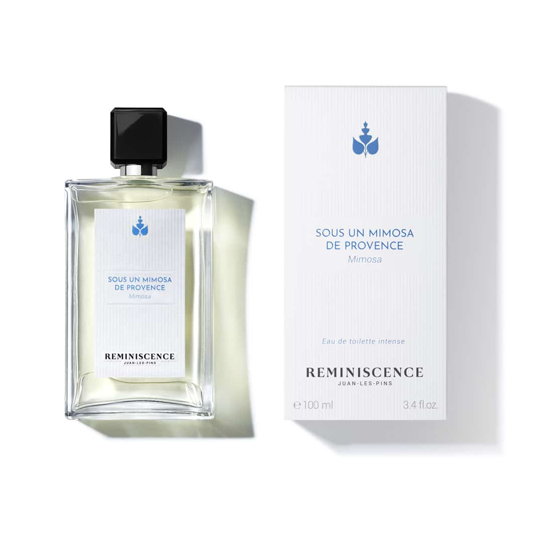Sous un Mimosa de Provence - Reminiscence