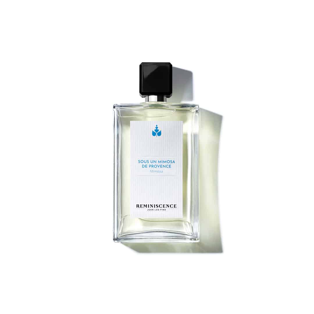 Sous un Mimosa de Provence - Reminiscence
