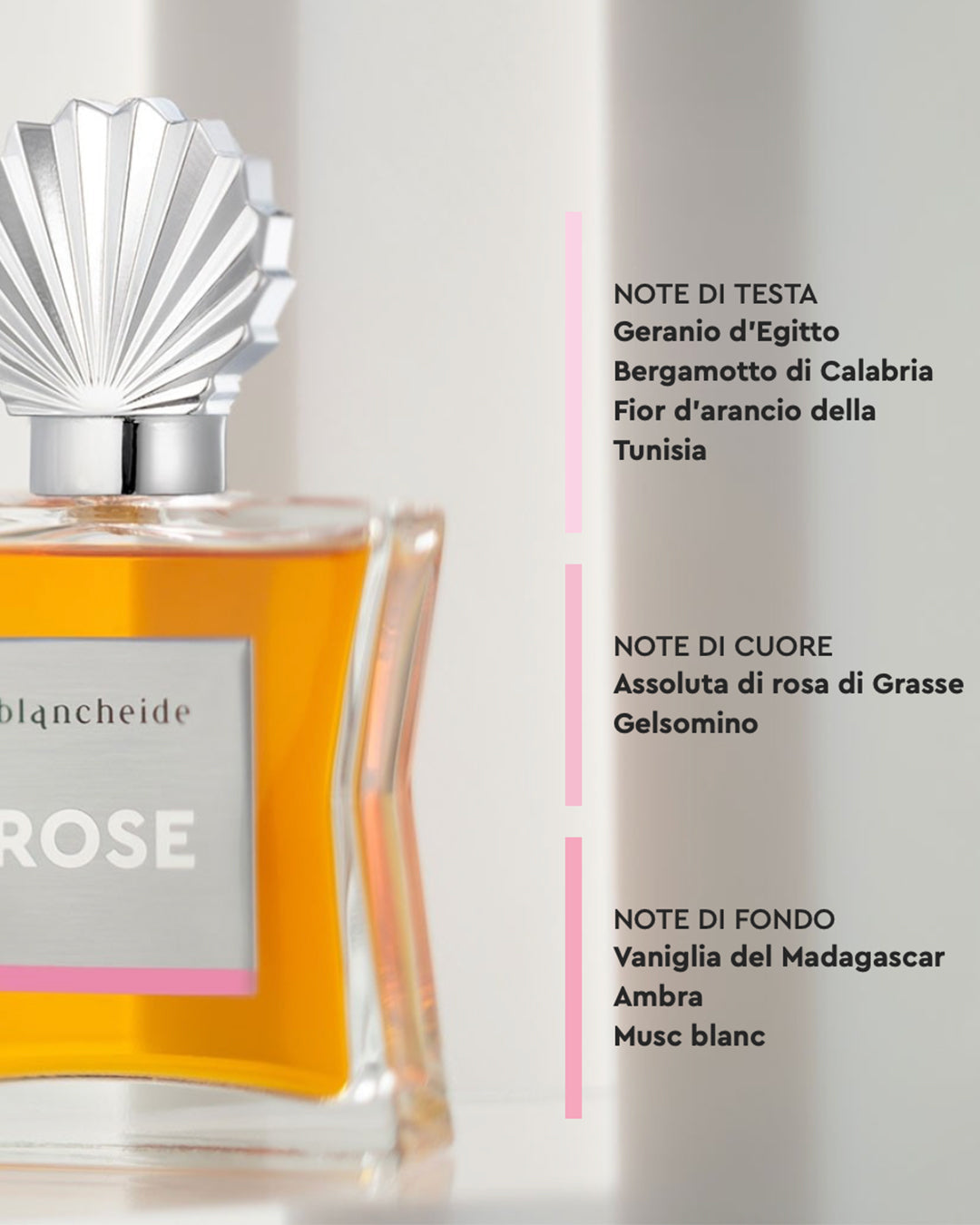 ROSE - Blancheide